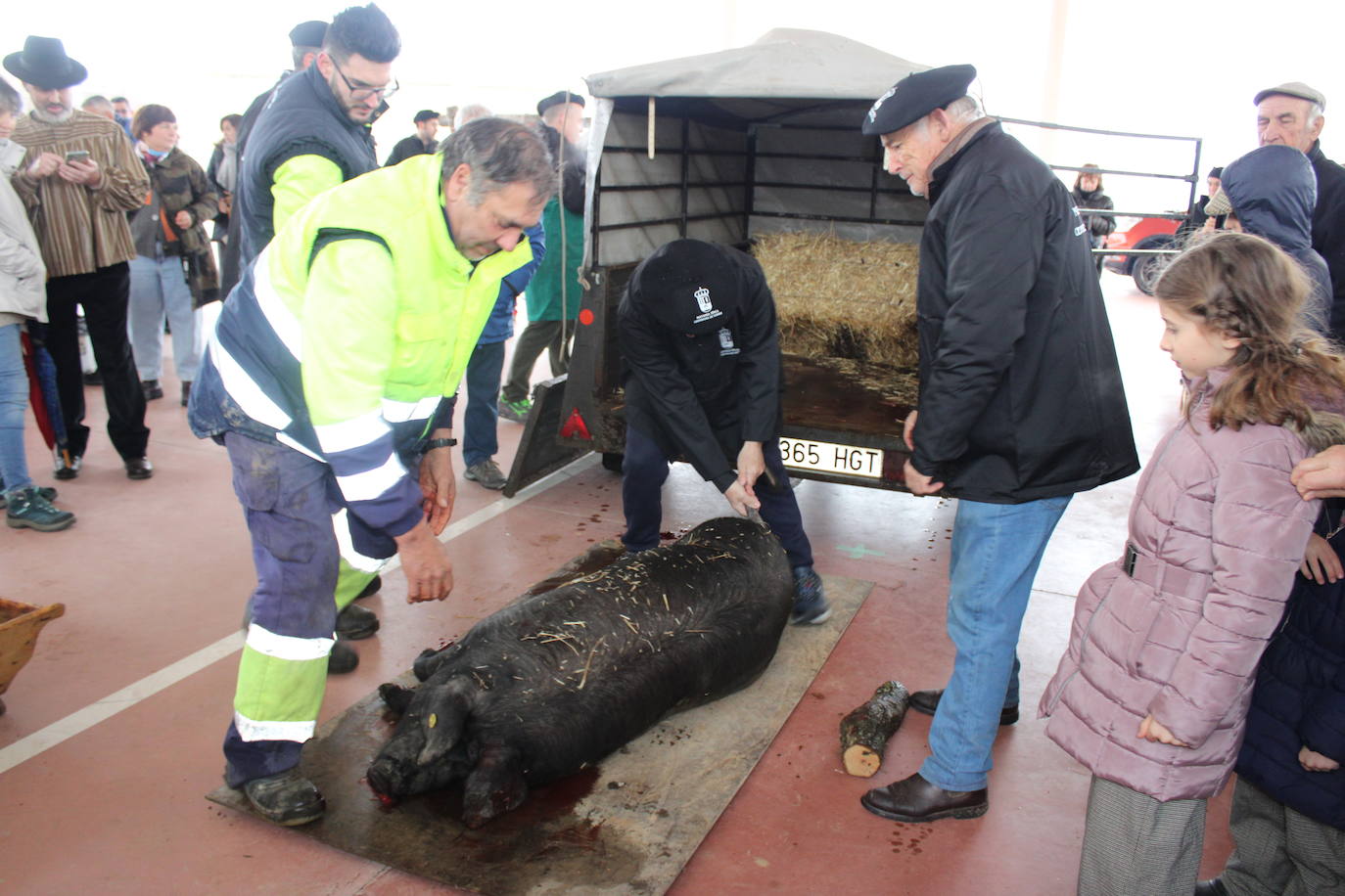 Cespedosa de Tormes rinde homenaje a su grupo de danzas en la matanza tradicional