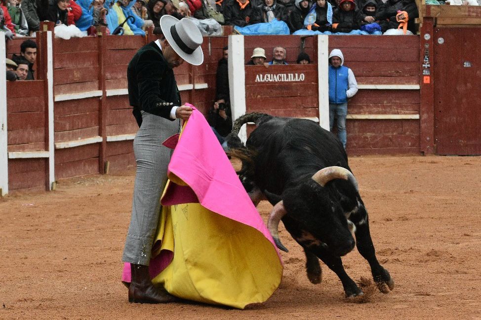 El primer festival taurino del Carnaval, en imágenes