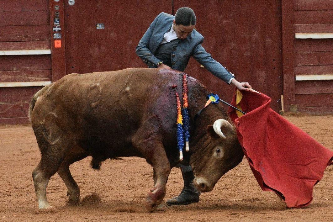 El primer festival taurino del Carnaval, en imágenes