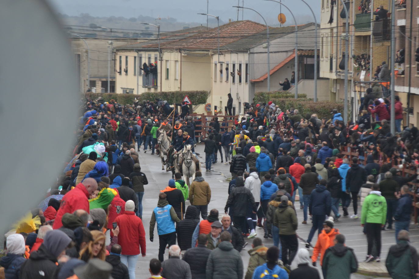 Tumultuoso encierro a caballo en el Carnaval del Toro de Ciudad Rodrigo