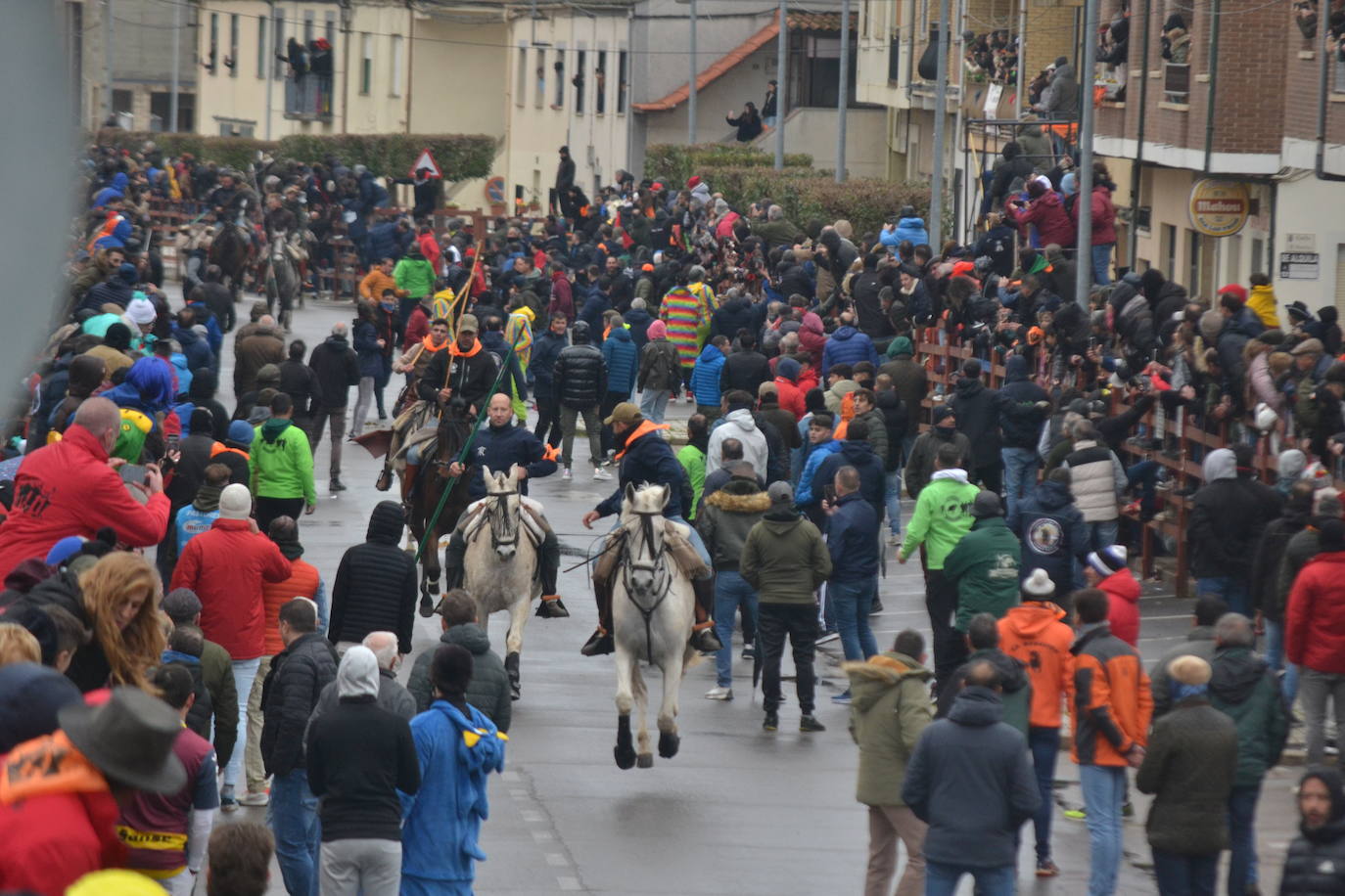 Tumultuoso encierro a caballo en el Carnaval del Toro de Ciudad Rodrigo