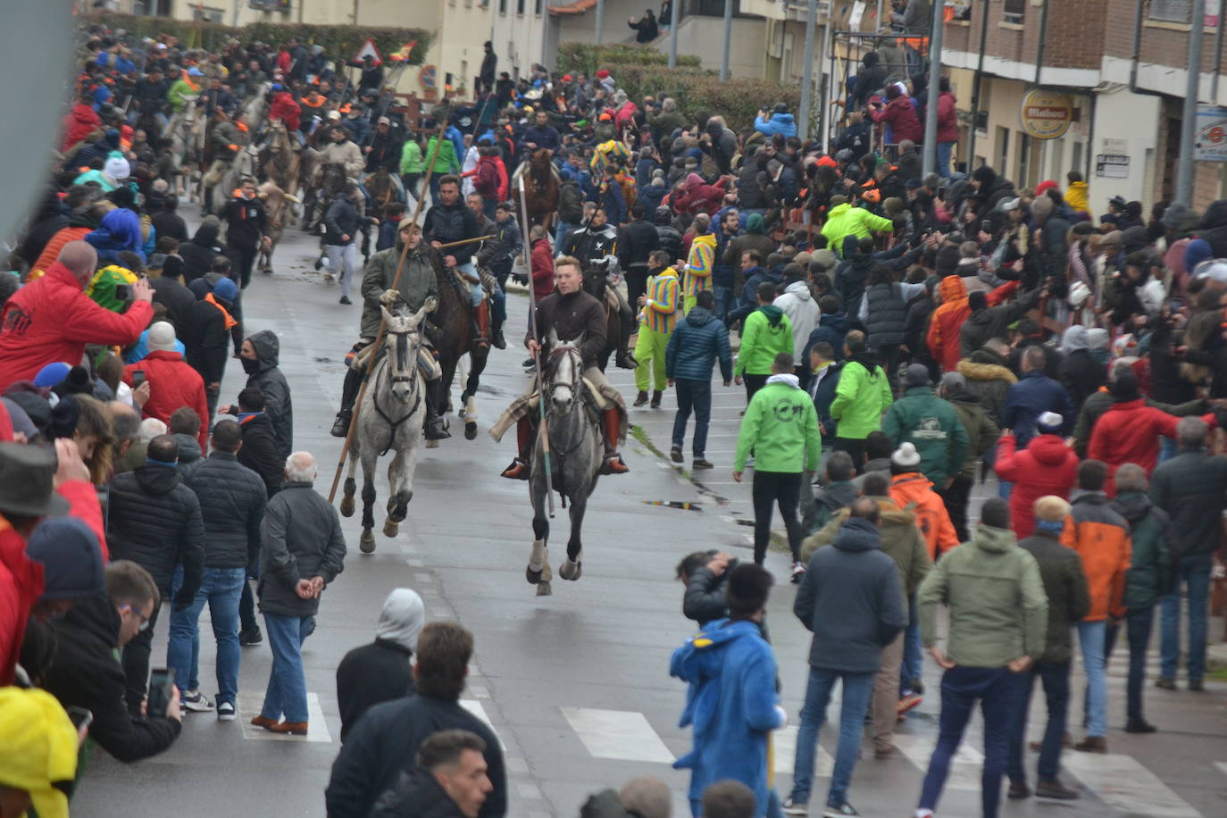 Tumultuoso encierro a caballo en el Carnaval del Toro de Ciudad Rodrigo