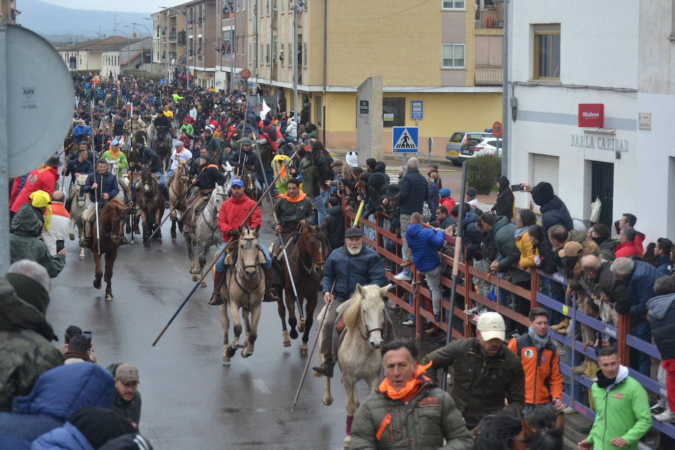 Tumultuoso encierro a caballo en el Carnaval del Toro de Ciudad Rodrigo