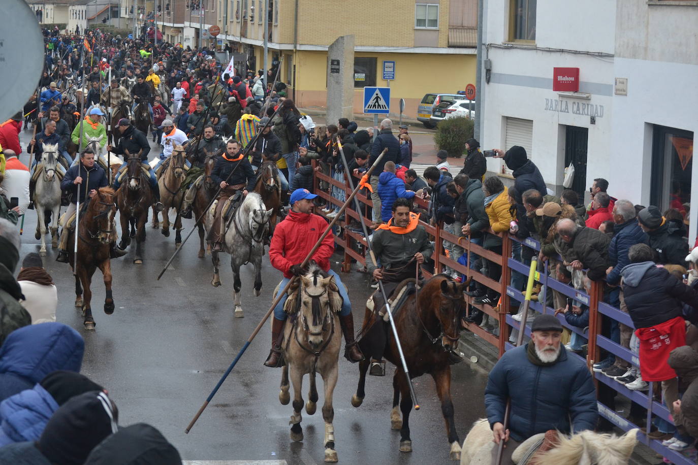 Tumultuoso encierro a caballo en el Carnaval del Toro de Ciudad Rodrigo