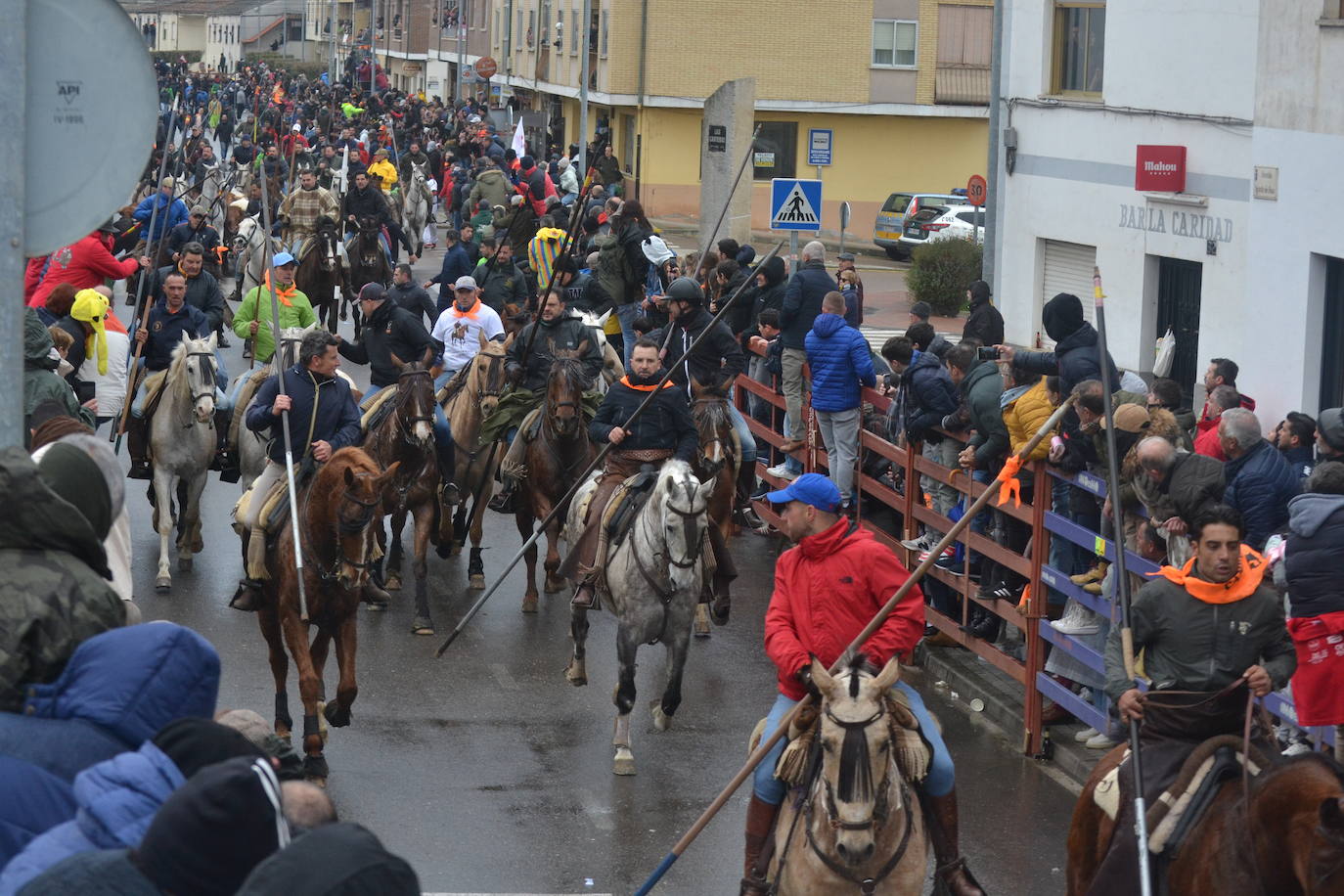 Tumultuoso encierro a caballo en el Carnaval del Toro de Ciudad Rodrigo