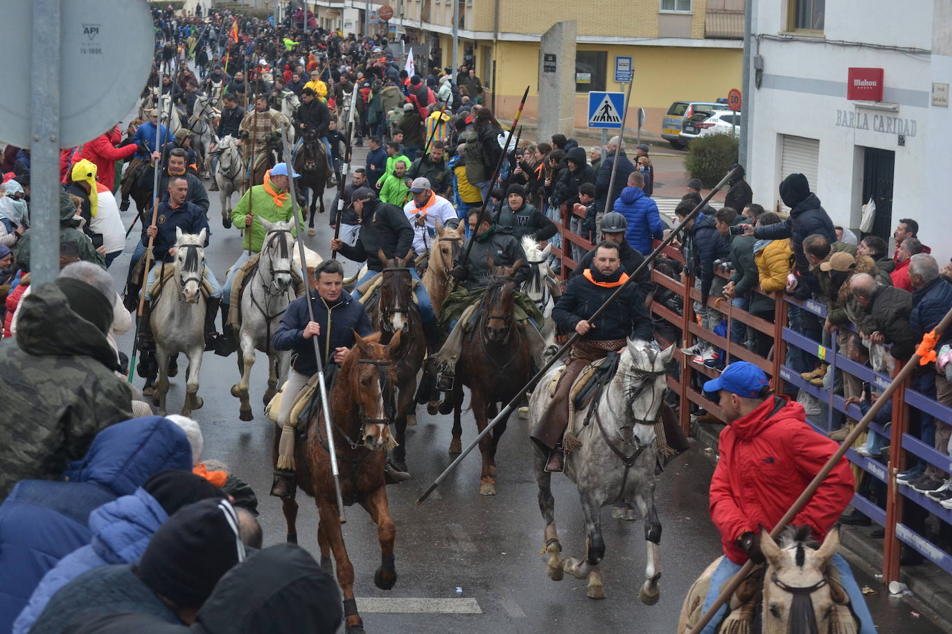 Tumultuoso encierro a caballo en el Carnaval del Toro de Ciudad Rodrigo