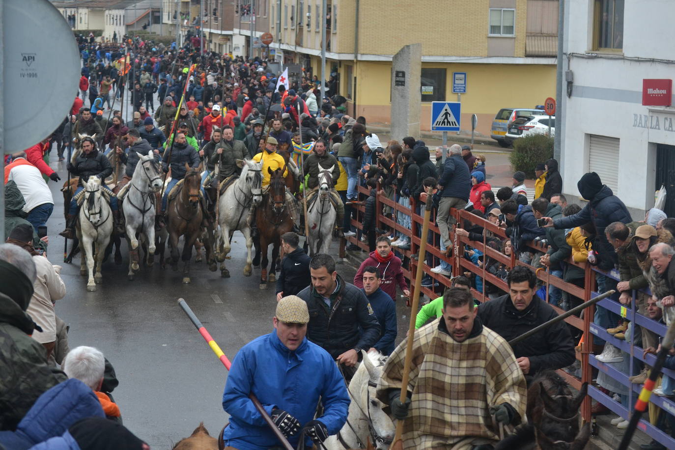 Tumultuoso encierro a caballo en el Carnaval del Toro de Ciudad Rodrigo