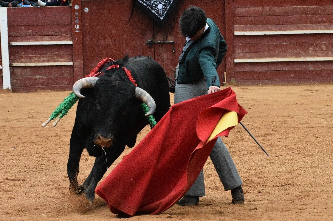 La tarde de los triunfadores el Bolsín, en imágenes