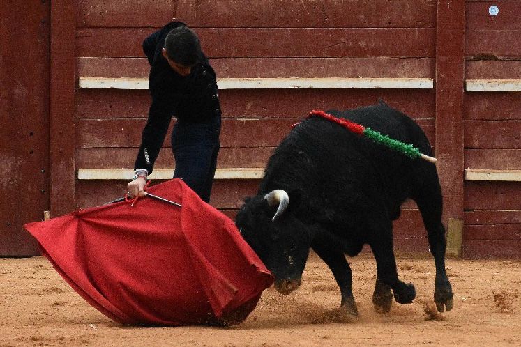 La tarde de los triunfadores el Bolsín, en imágenes