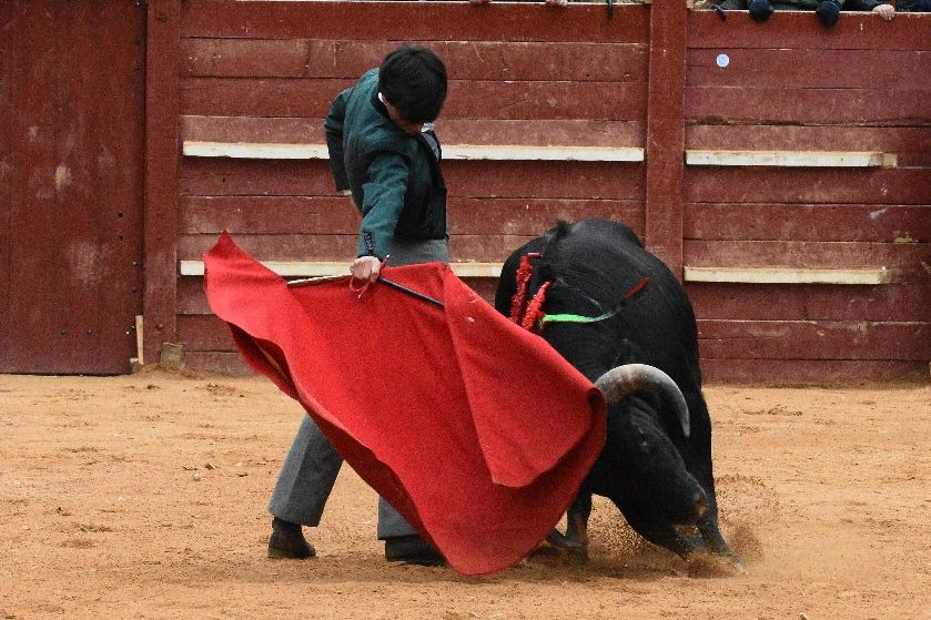 La tarde de los triunfadores el Bolsín, en imágenes