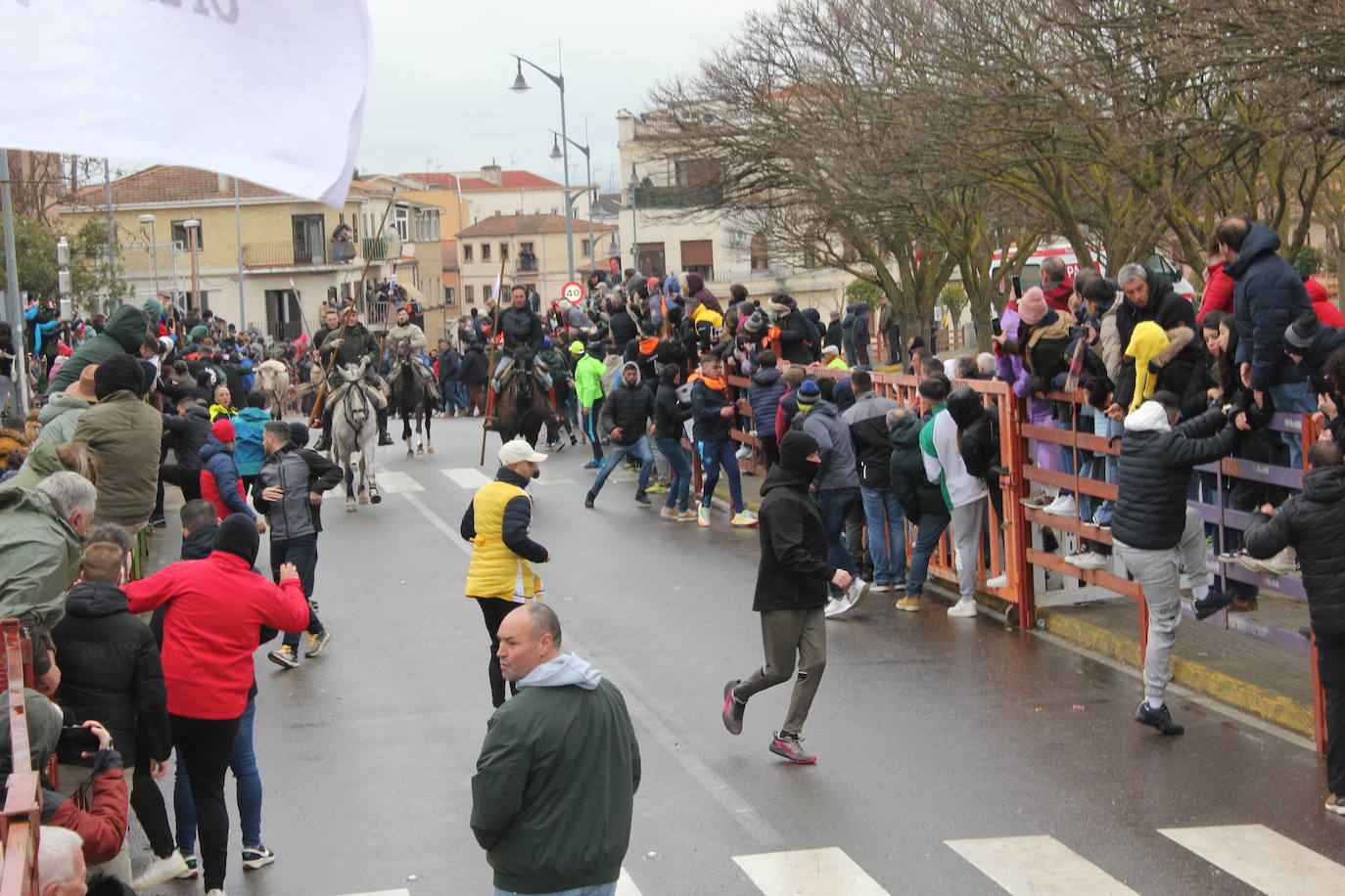 Tumultuoso encierro a caballo en el Carnaval del Toro de Ciudad Rodrigo