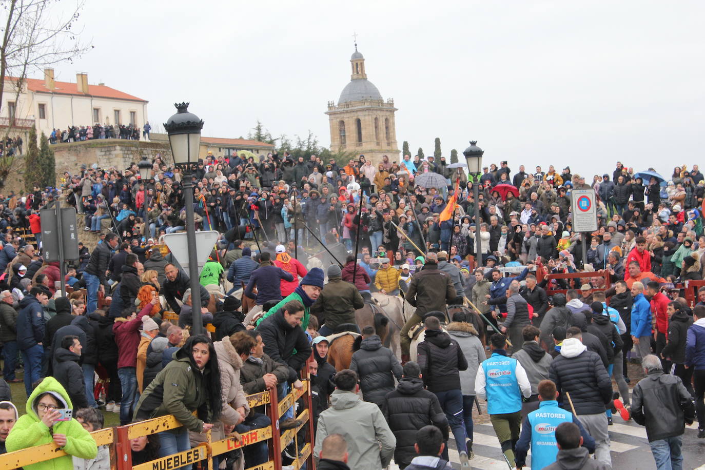 Tumultuoso encierro a caballo en el Carnaval del Toro de Ciudad Rodrigo