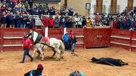 Vuelta al ruedo del cuarto novillo de Castillejo de Huebra en Ciudad Rodrigo.