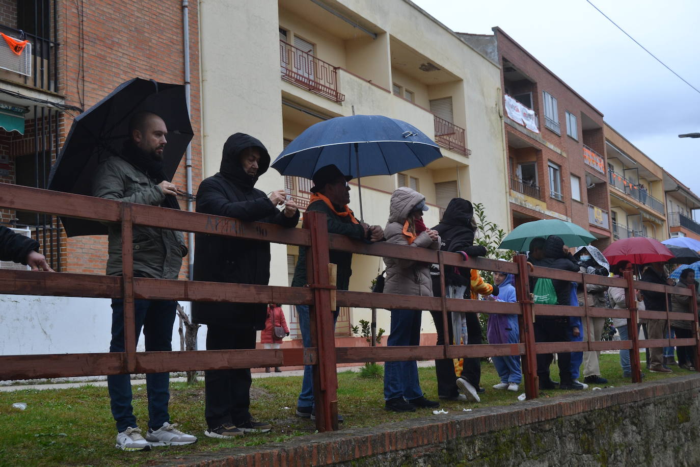 La lluvia no desluce el rápido encierro del lunes en el Carnaval del Toro