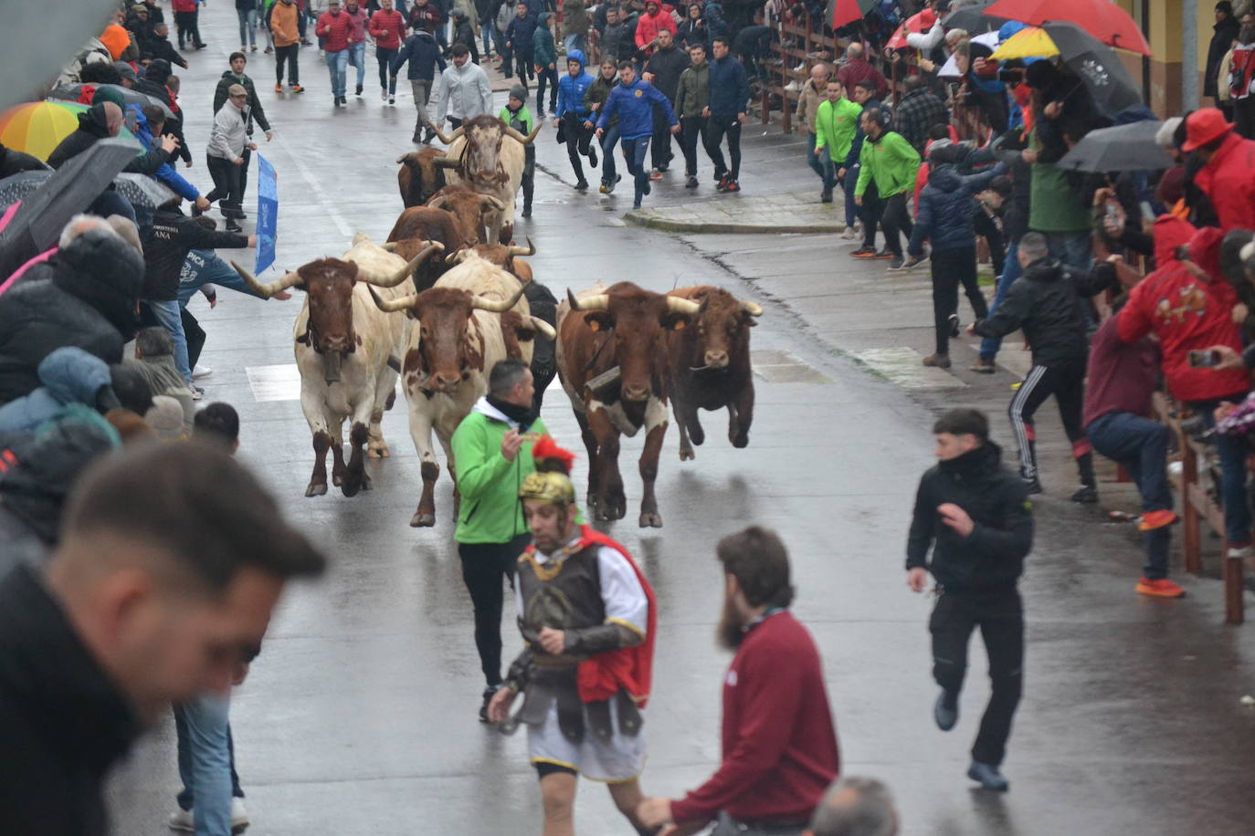La lluvia no desluce el rápido encierro del lunes en el Carnaval del Toro