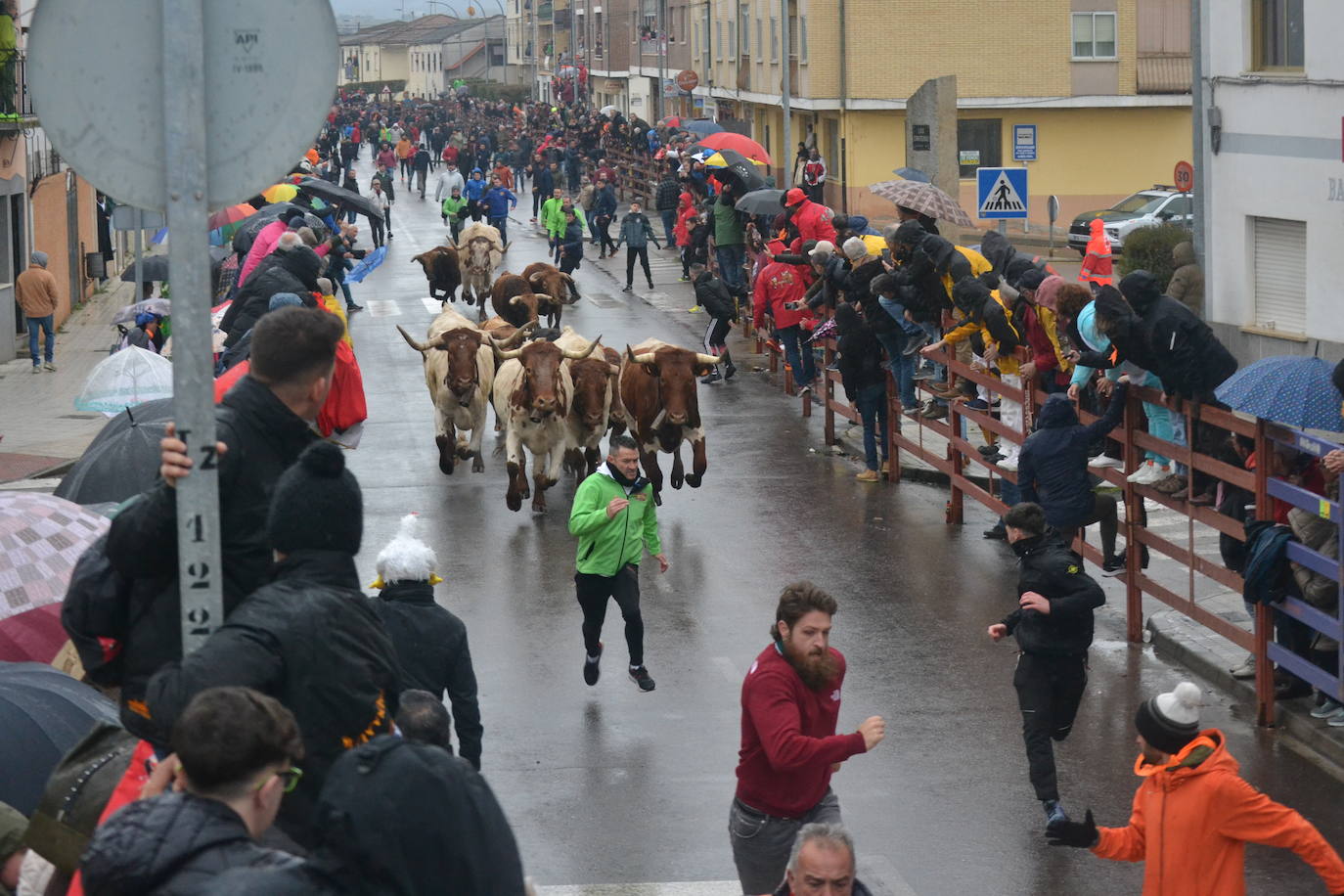 La lluvia no desluce el rápido encierro del lunes en el Carnaval del Toro