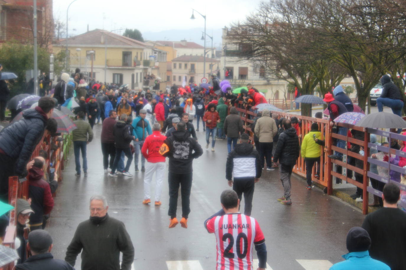 La lluvia no desluce el rápido encierro del lunes en el Carnaval del Toro