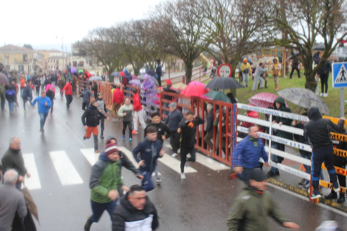 La lluvia no desluce el rápido encierro del lunes en el Carnaval del Toro