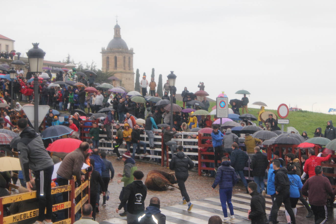 La lluvia no desluce el rápido encierro del lunes en el Carnaval del Toro