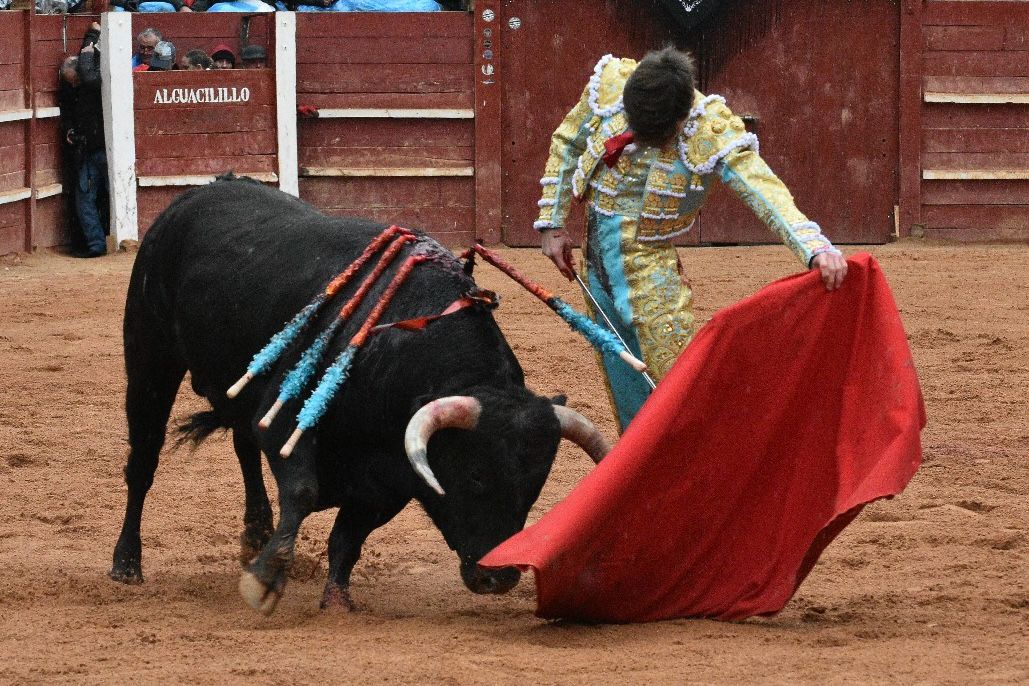 La novillada con picadores del Carnaval del Toro, en imágenes