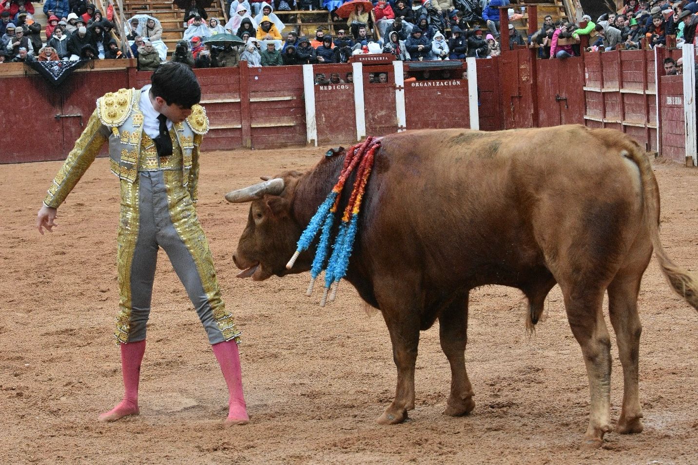 La novillada con picadores del Carnaval del Toro, en imágenes