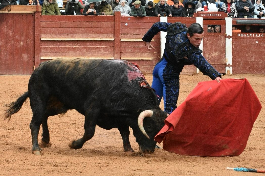 La novillada con picadores del Carnaval del Toro, en imágenes
