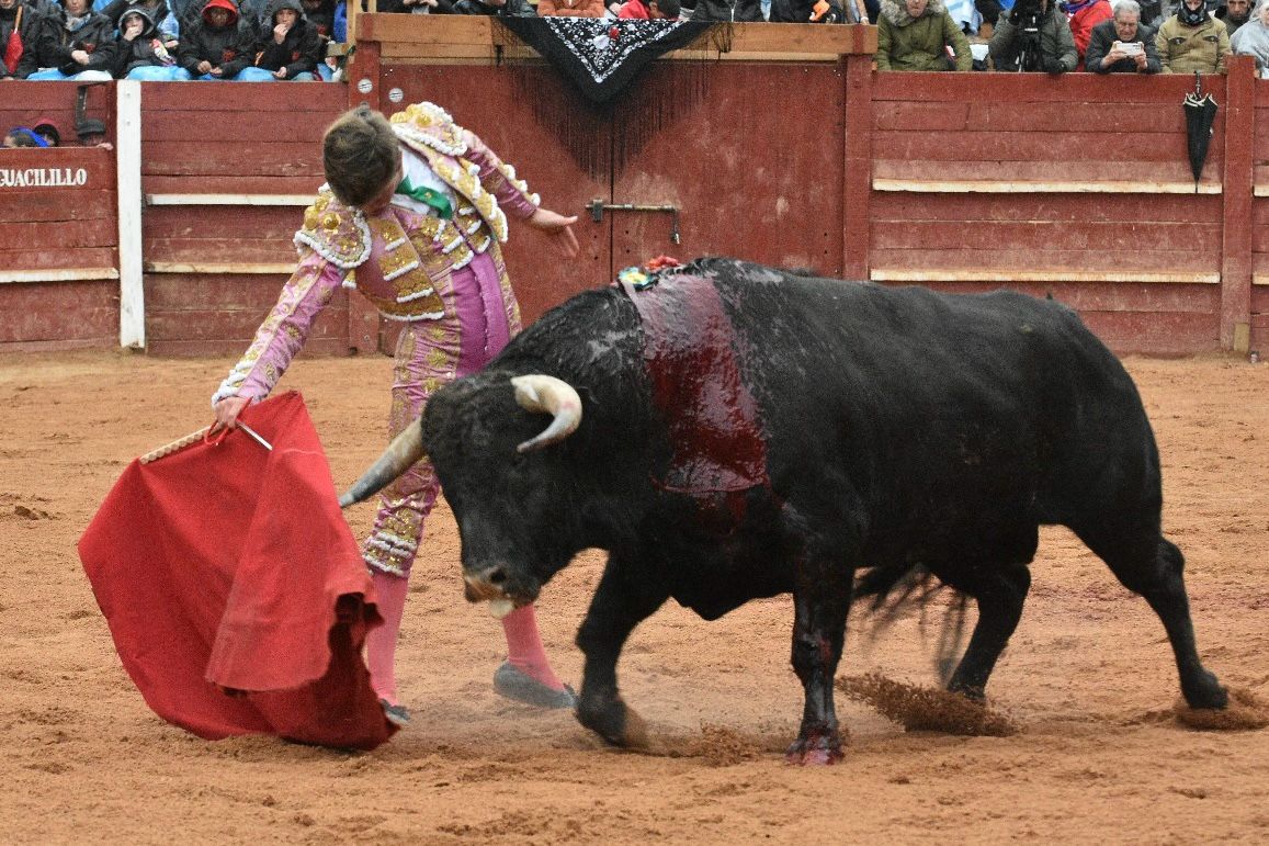 La novillada con picadores del Carnaval del Toro, en imágenes