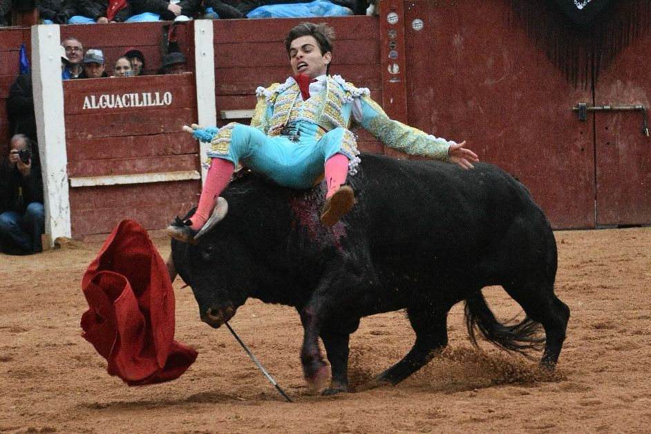 La novillada con picadores del Carnaval del Toro, en imágenes