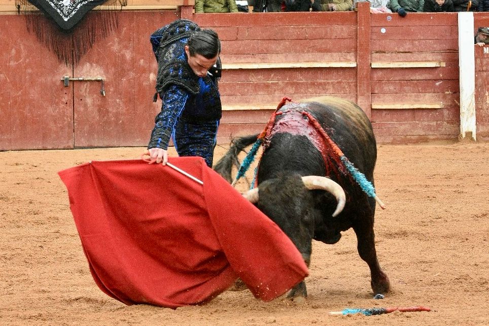 La novillada con picadores del Carnaval del Toro, en imágenes