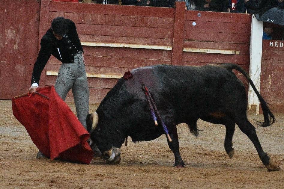 El último festival taurino del Carnaval del toro, en imágenes