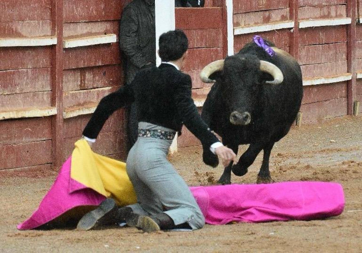 El último festival taurino del Carnaval del toro, en imágenes