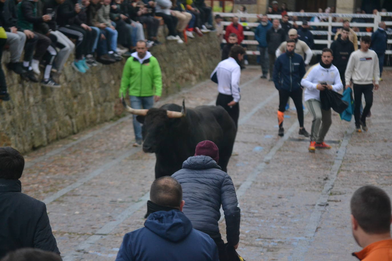 Entretenido Toro del Aguardiente del Carnaval del Toro