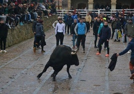 Un mozo recorta al astado en el Registro