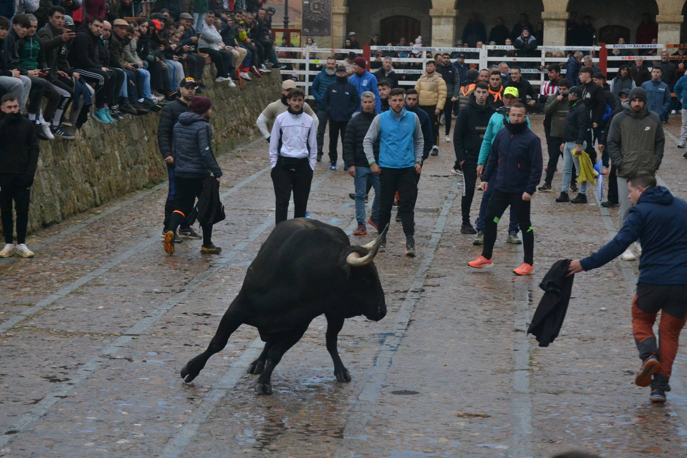 Entretenido Toro del Aguardiente del Carnaval del Toro