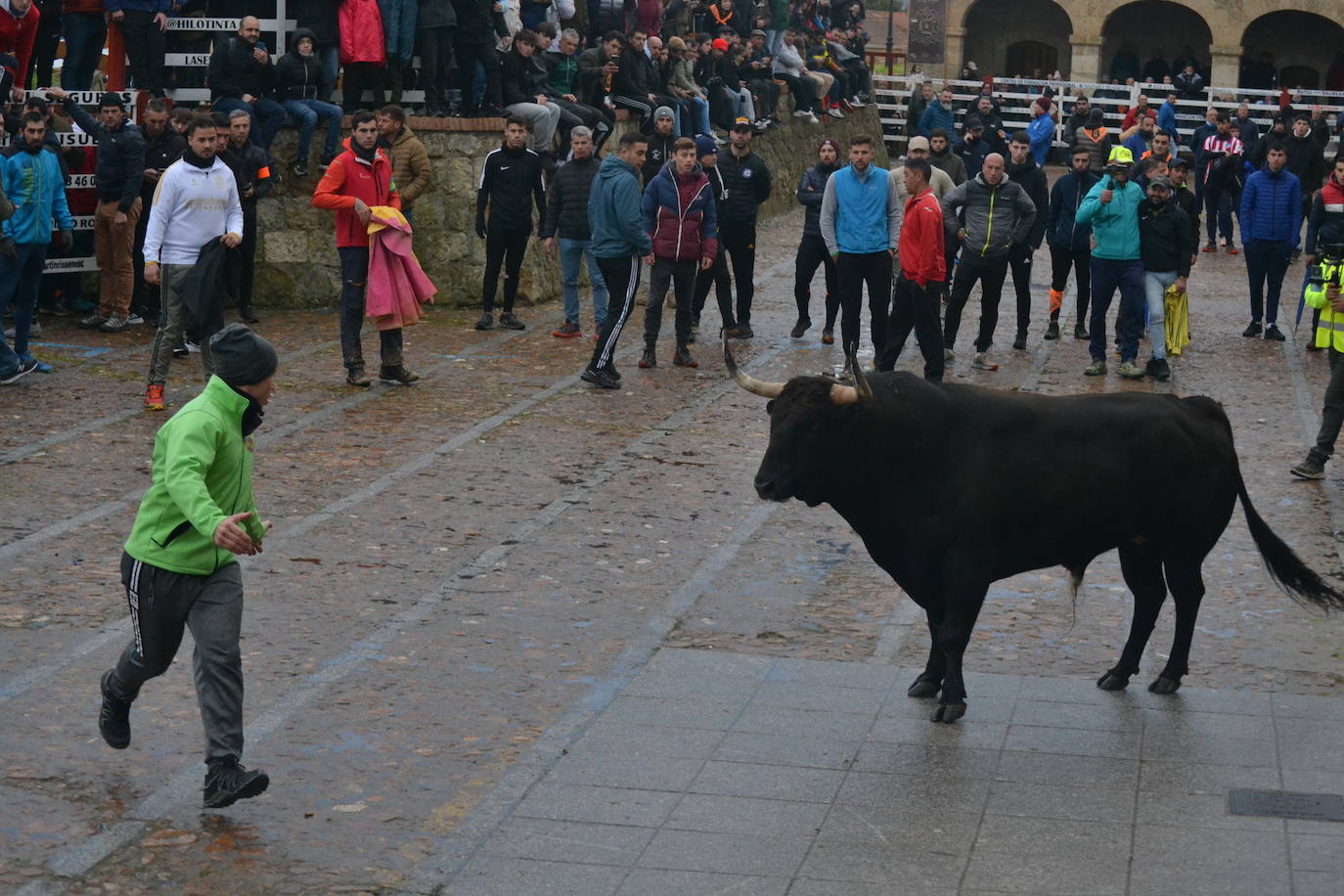 Entretenido Toro del Aguardiente del Carnaval del Toro