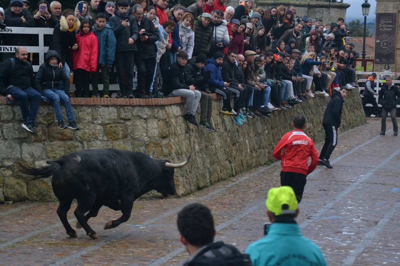 Entretenido Toro del Aguardiente del Carnaval del Toro