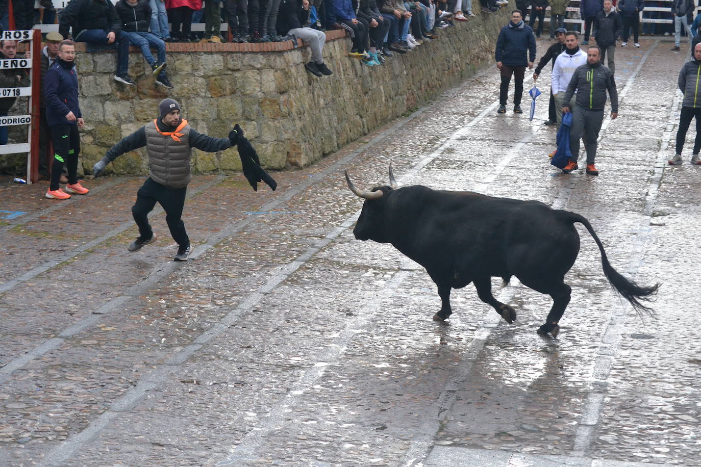 Entretenido Toro del Aguardiente del Carnaval del Toro