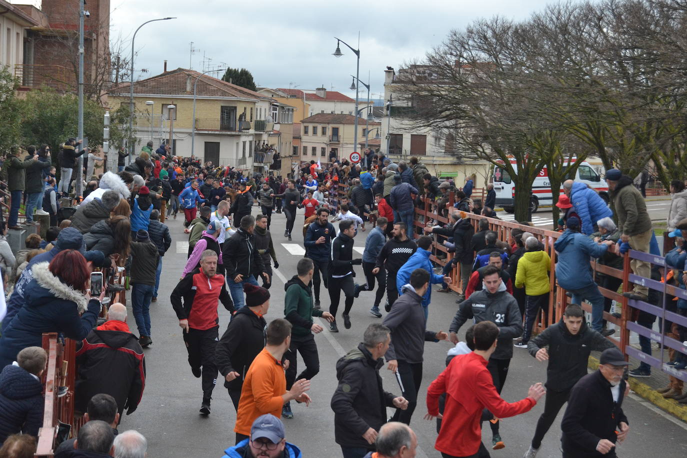 El último encierro del Carnaval del Toro, el más veloz de la serie