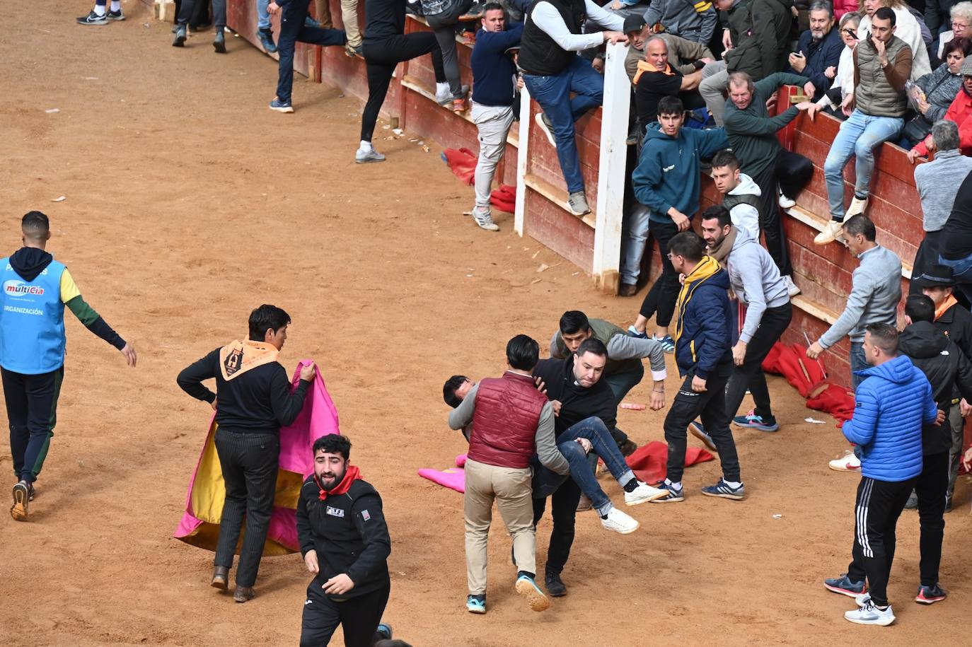Tres heridos de gravedad en la capea matinal del Carnaval del Toro