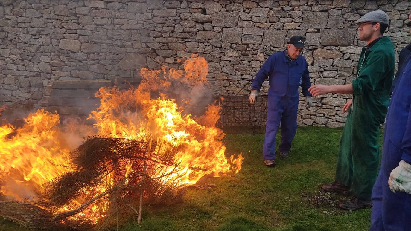 El pabellón, refugio para una animada matanza en Los Santos