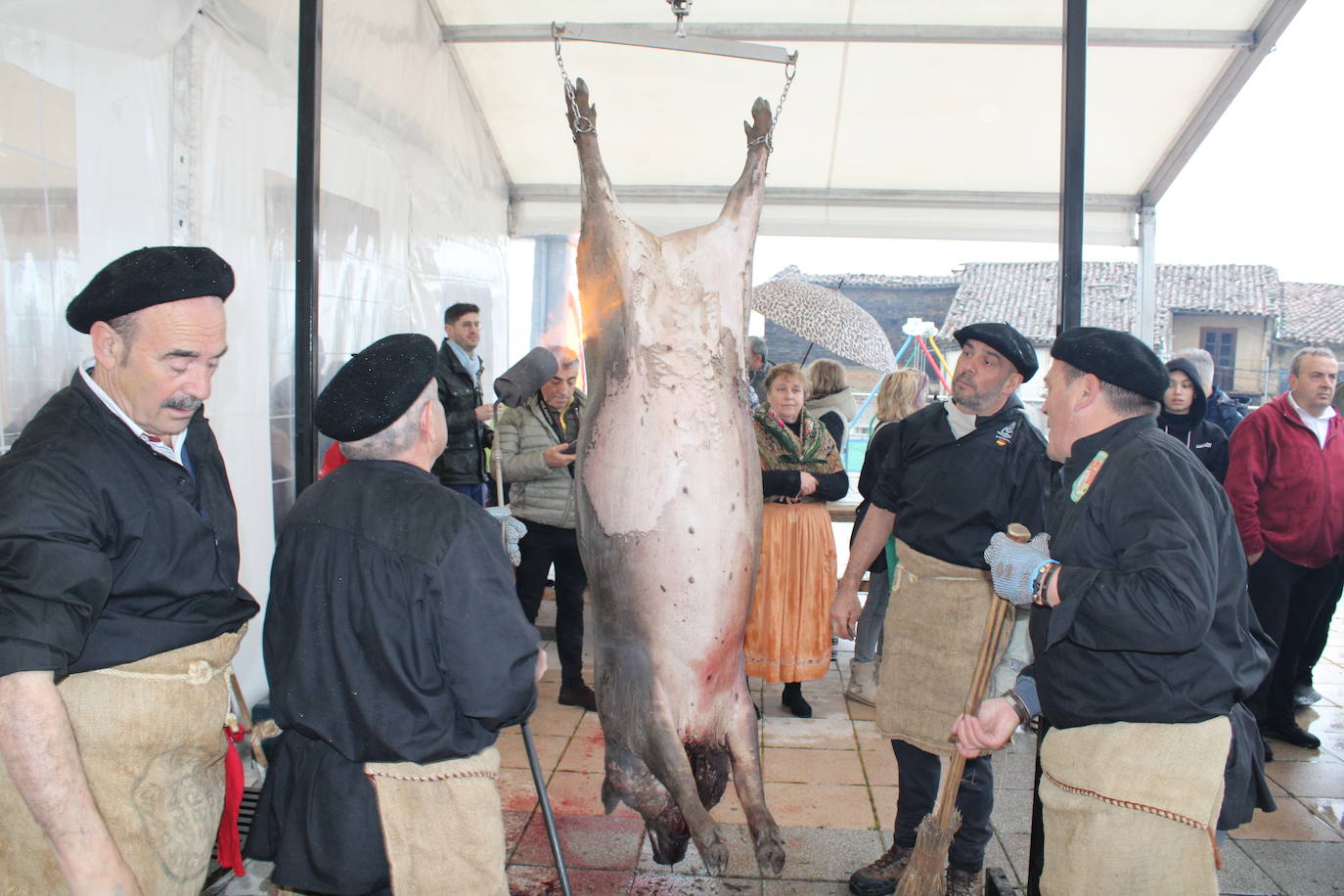 La lluvia no impide un nuevo lleno en la matanza de Campillo de Salvatierra