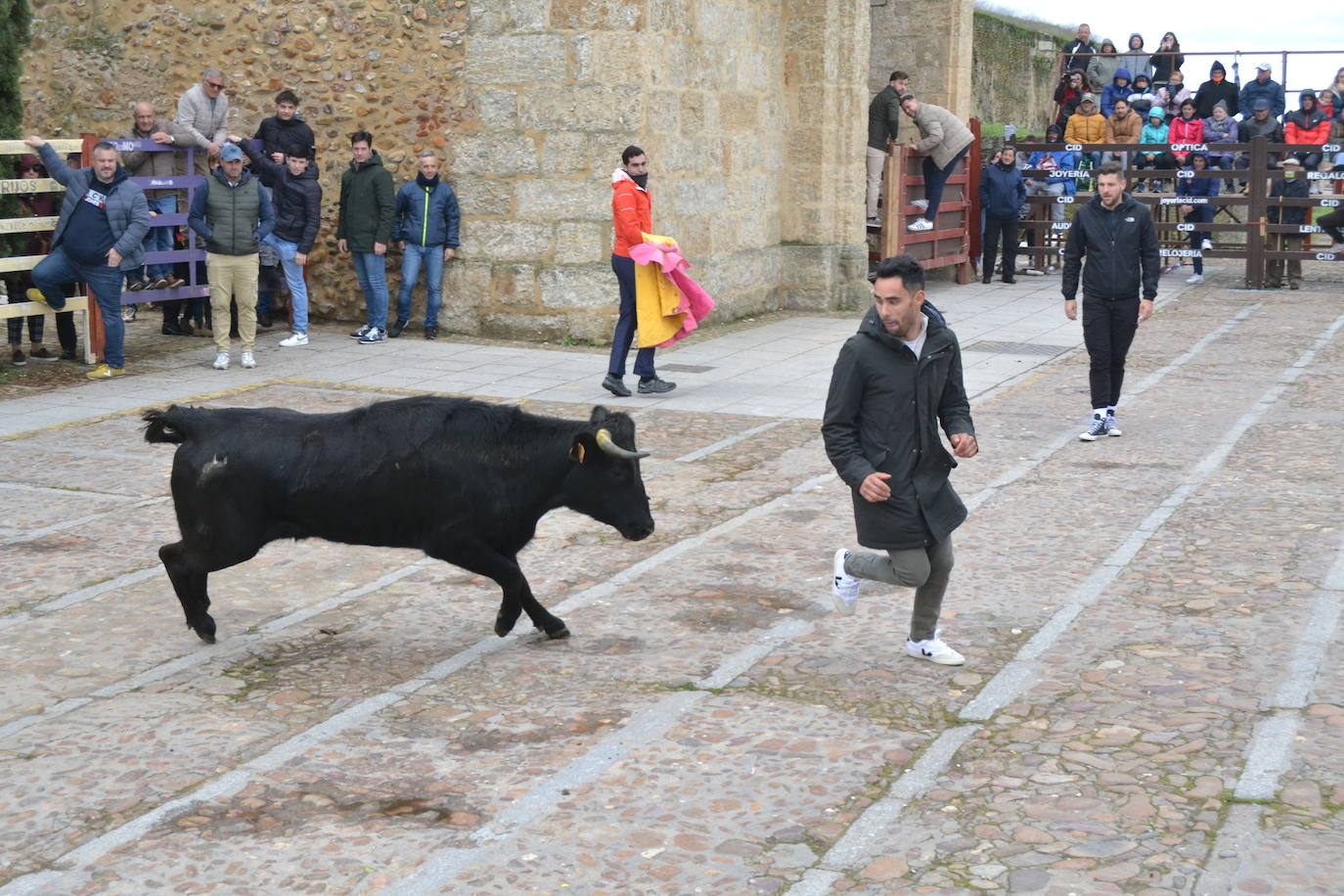El Domingo de Piñata cierra el Carnaval del Toro
