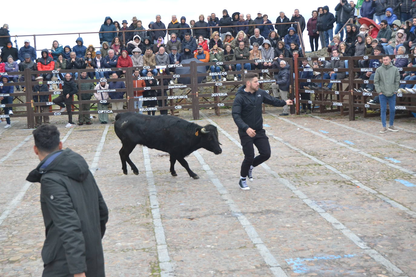 El Domingo de Piñata cierra el Carnaval del Toro