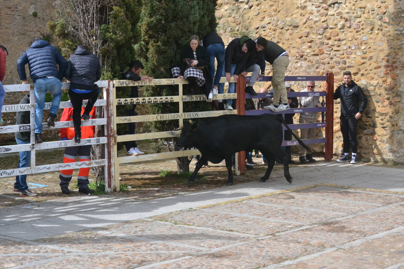 El Domingo de Piñata cierra el Carnaval del Toro