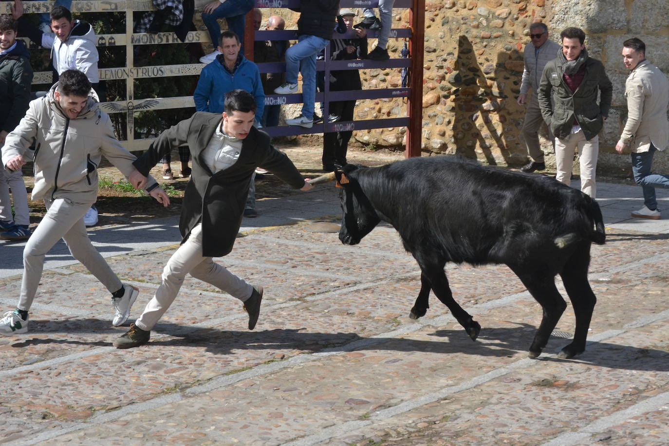 El Domingo de Piñata cierra el Carnaval del Toro