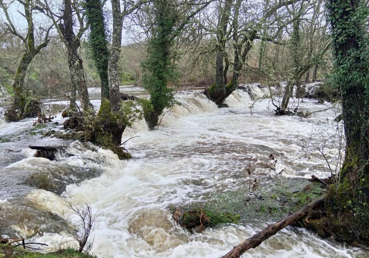 Río Tormes a su paso por Puente del Congosto.