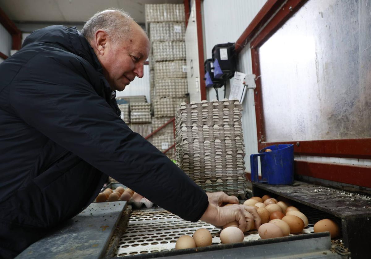 Félix García cogiendo los huevos.