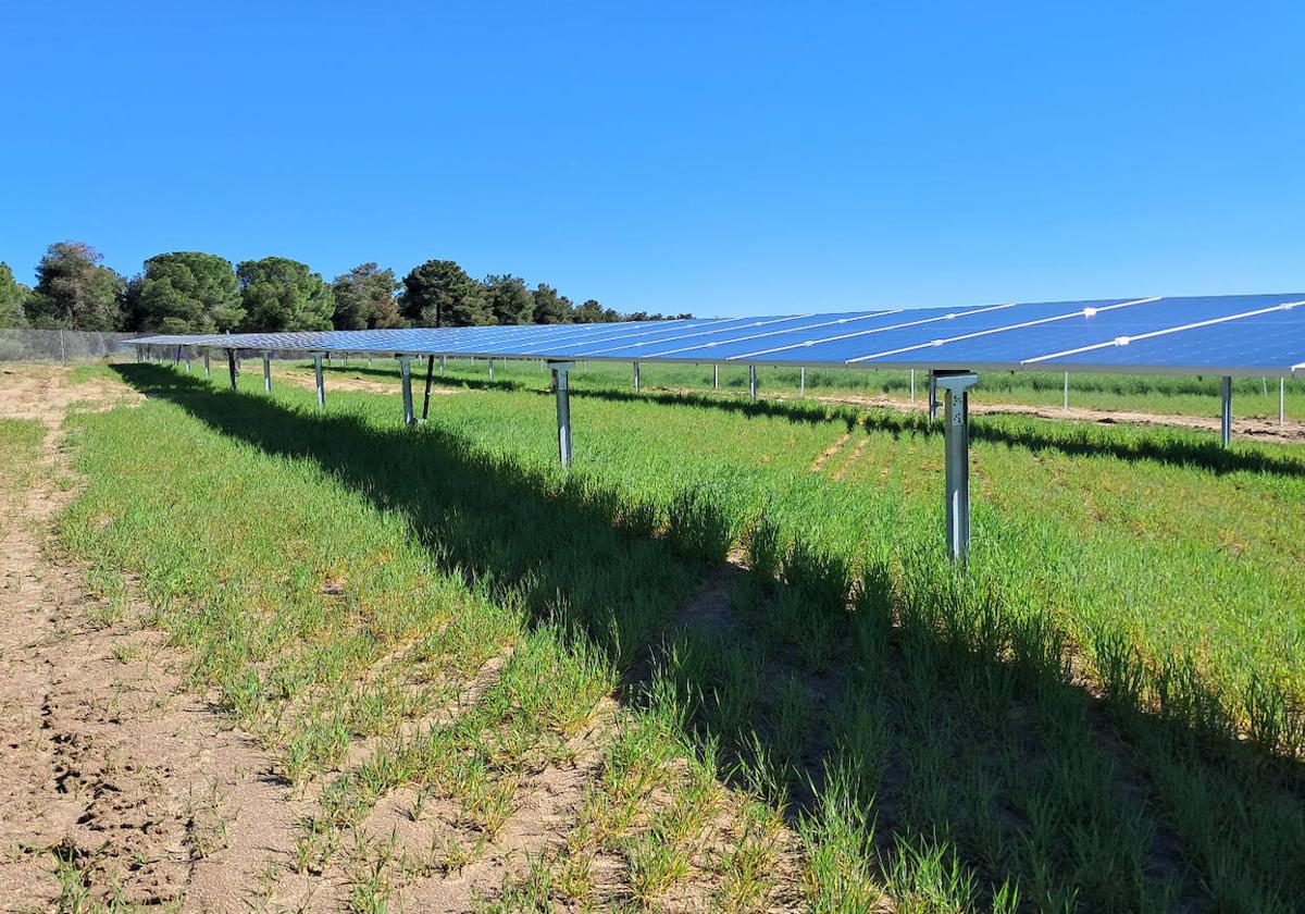 Placas solares de Gamo Energías, para que agricultores y ganaderos ahorren en sus costes energéticos.