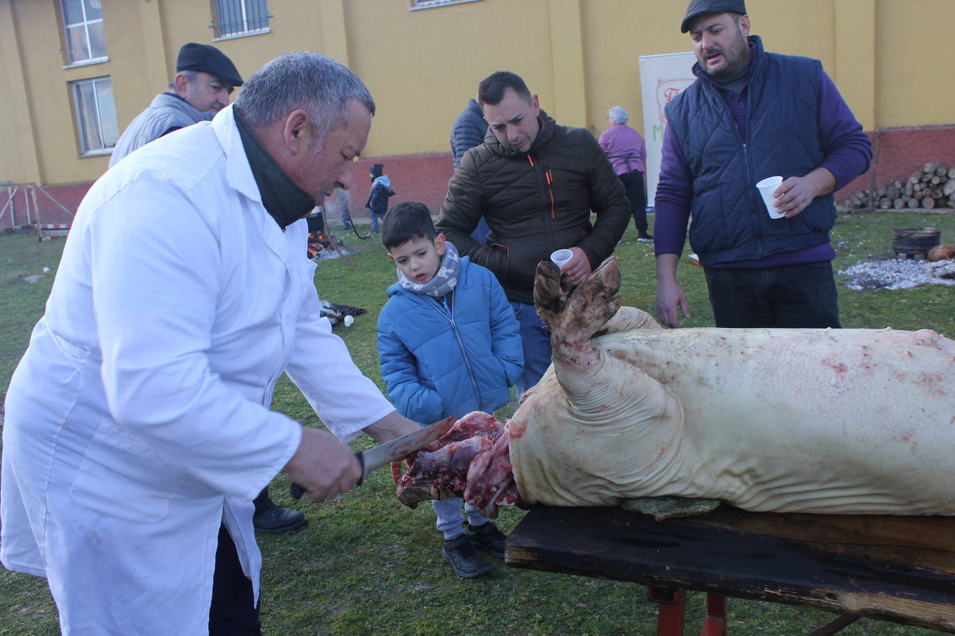 Fiesta en torno al cerdo y la gastronomía, en Villar de Peralonso