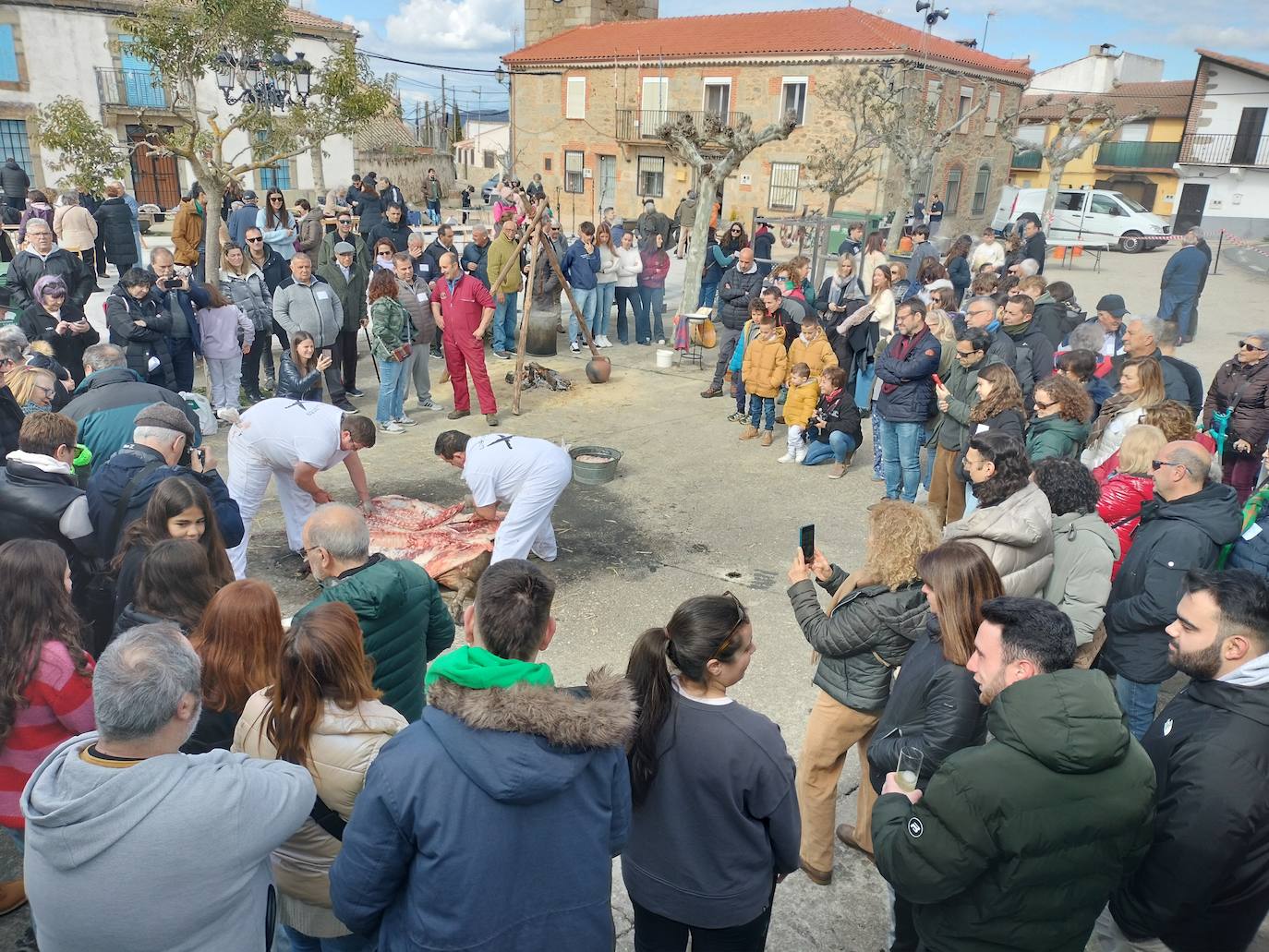 La matanza de Gallegos de Solmirón crece año tras año